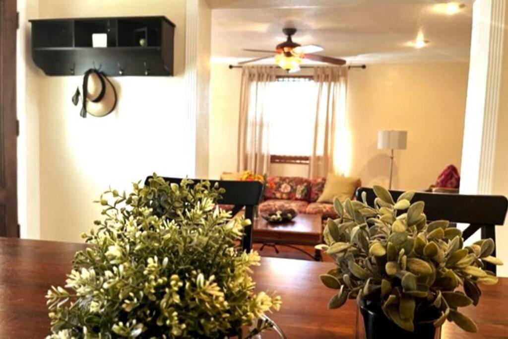 House Close To Downtown, Airport, Raymond Stadium, And Many Places Holiday home