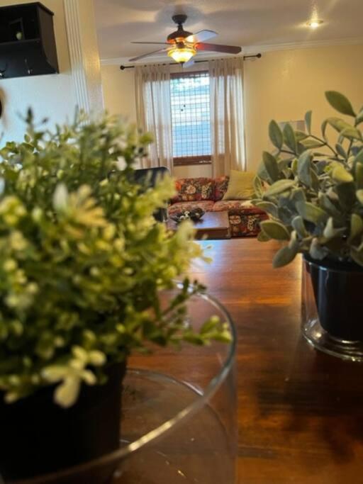 Holiday home House Close To Downtown, Airport, Raymond Stadium, And Many Places Tampa